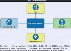 Интерактивные курсы. Биология 5 класс. Базовый - fgospostavki.ru - Лобня