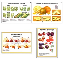 Плакаты ПРОФТЕХ "Ассортимент овощных культур" (12 пл, винил, 70х100) - fgospostavki.ru - Лобня