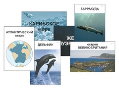 Модель-аппликация "Океаны. Знакомство" (ламинированная) - fgospostavki.ru - Лобня