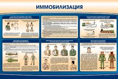 Стенд "Иммобилизация" - fgospostavki.ru - Лобня