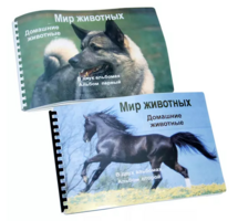 Пособие для слабовидящих - Домашние животные - fgospostavki.ru - Лобня
