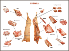 Таблица "Правила разделки мясных туш. Свинина" (100х140 сантиметров. винил) - fgospostavki.ru - Лобня