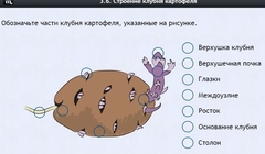 Интерактивные курсы. Биология 6 класс. Расширенный - fgospostavki.ru - Лобня