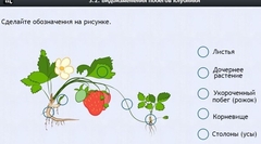 Интерактивные курсы. Биология 7 класс. Расширенный. - fgospostavki.ru - Лобня