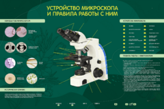 Электрифицированный стенд "Устройство микроскопа и правила работы c ним" - fgospostavki.ru - Лобня
