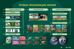 Электрифицированный стенд "Уровни организации жизни" - fgospostavki.ru - Лобня