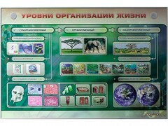Электрифицированный стенд "Уровни организации жизни" - fgospostavki.ru - Лобня