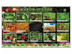 Комплект оборудования "Живой уголок" (растения) - fgospostavki.ru - Лобня