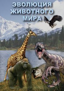 DVD "Эволюция животного мира" - fgospostavki.ru - Лобня