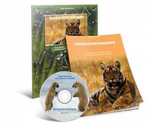 Электронное наглядное пособие «Млекопитающие» - fgospostavki.ru - Лобня