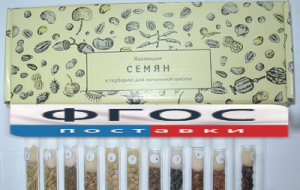 Коллекция "Семена к гербарию для начальной школы" (11 видов) - fgospostavki.ru - Лобня