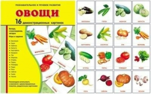 Демонстрационные карточки "Овощи" - fgospostavki.ru - Лобня