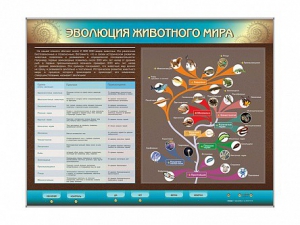 Интерактивный электрифицированный стенд "Эволюция животного мира" - fgospostavki.ru - Лобня