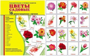 Демонстрационные карточки "Цветы садовые" - fgospostavki.ru - Лобня