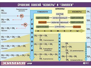 Таблица демонстрационная "Сравнение понятий изомер и гомолог" (винил 70x100) - fgospostavki.ru - Лобня
