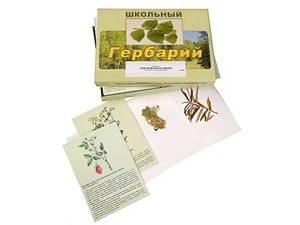 Гербарий "Для начальной школы" (30 видов, с иллюстрациями) - fgospostavki.ru - Лобня