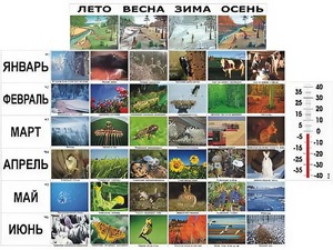 Фенологические наблюдения - fgospostavki.ru - Лобня