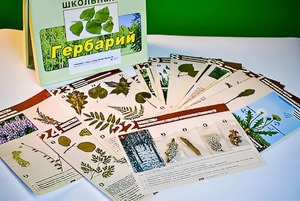 Гербарий к курсу основ общей биологии - fgospostavki.ru - Лобня