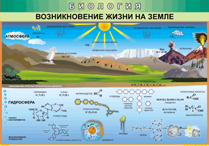 Таблица "Возникновение жизни на земле" (100х140 сантиметров, винил) - fgospostavki.ru - Лобня