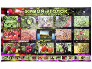 Комплект оборудования "Живой уголок" (растения) с тифлопереводом и сурдокомментариями - fgospostavki.ru - Лобня