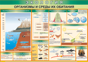 Таблица "Организмы и среды их обитания" (100х140 сантиметров, винил) - fgospostavki.ru - Лобня