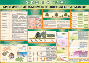 Таблица "Биотические взаимоотношения организмов" (100х140 сантиметров, винил) - fgospostavki.ru - Лобня