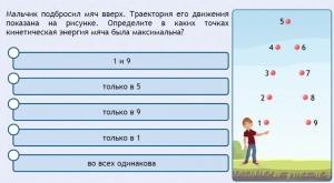 Интерактивные курсы. Физика 10 класс. Базовый. - fgospostavki.ru - Лобня