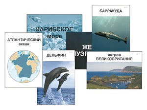 Модель-аппликация "Океаны. Знакомство" (ламинированная) - fgospostavki.ru - Лобня