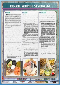 Стенд "Белки. Жиры. Углеводы" - fgospostavki.ru - Лобня