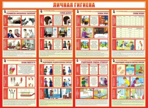 Стенд "Личная гигиена" - fgospostavki.ru - Лобня