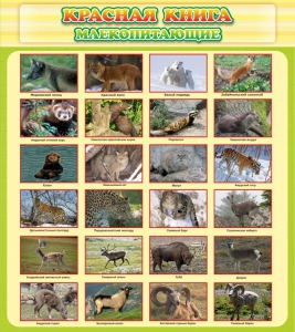Стенд "Красная книга - млекопитающие" - fgospostavki.ru - Лобня