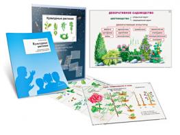 Комплект кодотранспарантов "Культурные растения" - fgospostavki.ru - Лобня