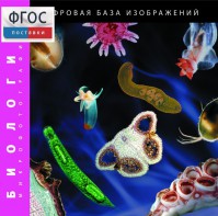 Биология. Микрофотографии. (Цифровая база изображений) - fgospostavki.ru - Лобня