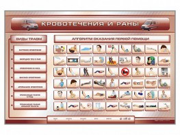 Трехсекционный базовый комплект "Травмы. Кровотечения. Ожоги" для учащихся общеобразовательных учреждений - fgospostavki.ru - Лобня