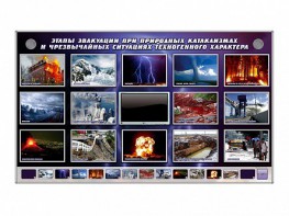 Многофункциональный интерактивный стенд-тренажер "Этапы эвакуации при природных катаклизмах и чрезвычайных ситуациях техногенного характера" - fgospostavki.ru - Лобня