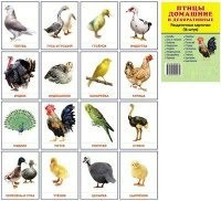 Раздаточные карточки "Птицы домашние и декоративные" - fgospostavki.ru - Лобня