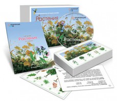 Комбинированное наглядное пособие «Растения» - fgospostavki.ru - Лобня