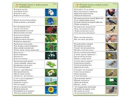 Комплект карточек (10) "Обучающий калейдоскоп. Природа" - fgospostavki.ru - Лобня