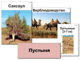 Модель-аппликация "Природные зоны России" (ламинированная) - fgospostavki.ru - Лобня