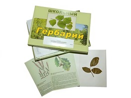Гербарий "Дикорастущие растения" (30 видов, с иллюстрациями) - fgospostavki.ru - Лобня