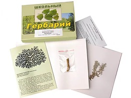 Гербарий "Водоросли. Грибы. Лишайники" (раздаточный) - fgospostavki.ru - Лобня