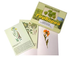 Гербарий "Систематика растений. Семейство Пасленовые. Крестоцветные. Сложноцветные" (раздаточный) - fgospostavki.ru - Лобня