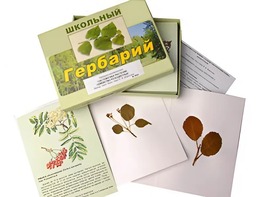 Гербарий "Систематика растений. Семейство Розоцветные" (раздаточный) - fgospostavki.ru - Лобня
