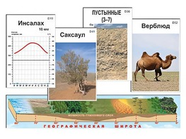 Модель-аппликация "Природные зоны" - fgospostavki.ru - Лобня