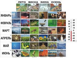 Фенологические наблюдения - fgospostavki.ru - Лобня