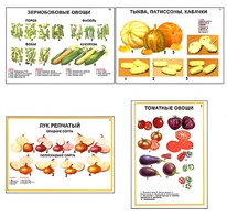Плакаты ПРОФТЕХ "Ассортимент овощных культур" (12 пл, винил, 70х100) - fgospostavki.ru - Лобня