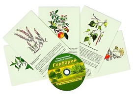 Интерактивный наглядный комплекс "Гербарий "Для начальной школы" - fgospostavki.ru - Лобня