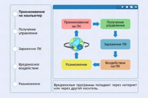 Интерактивные курсы. Информатика 10 класс . Базовый. - fgospostavki.ru - Лобня