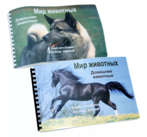 Пособие для слабовидящих - Домашние животные - fgospostavki.ru - Лобня