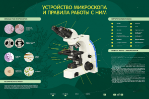 Электрифицированный стенд "Устройство микроскопа и правила работы c ним" - fgospostavki.ru - Лобня